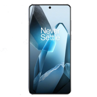 OnePlus 13
