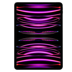 iPad Pro 11 (2024)